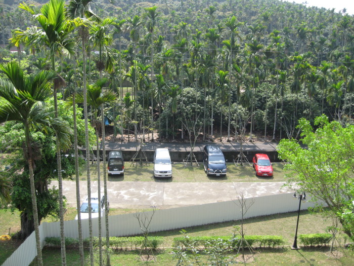 IMG_6230.JPG